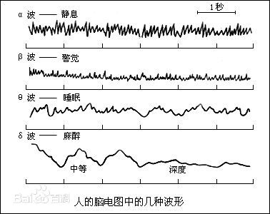 打坐、冥想、气功、静思与脑电波