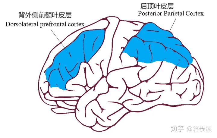 v2-97d842f17db870e2f1b999a4bbf18a20_720w.jpg