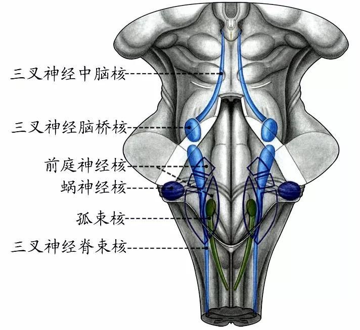 v2-8361f765be06b5ede827420400abfcae_r.jpg
