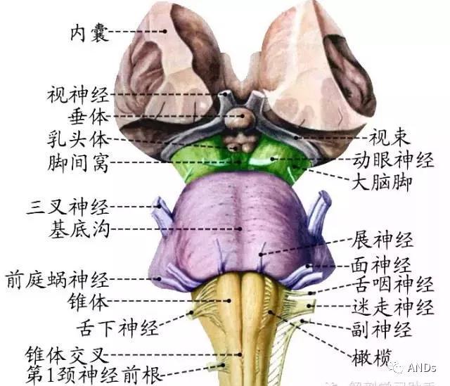 v2-94834f9a11635d6e85b6d45026f9a3b9_r.jpg