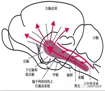 v2-ad5d8415e992876046839030cbce2694_720w.jpg