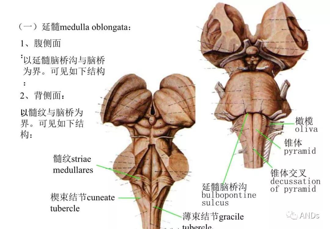 v2-e1457773fb7da58339a3af7c57dc94c5_r.jpg