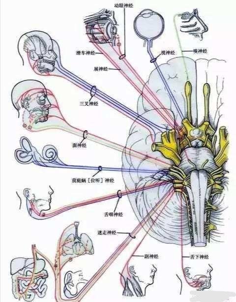 心念有多快