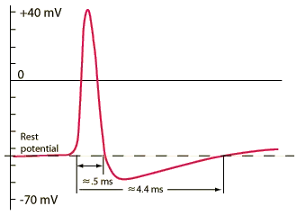 v2-39dd485ac26aa9db518ad574dffc61b8_720w.jpg