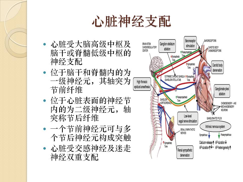 R-C.d0e55c7c4d87e8029c6557f6f7e622f6?rik=PtmLUNEXY7BfWA&riu=http%3a%2f%2fwww.drvoice.cn%2fuploadfile%2f2015%2f0725%2f20150725020612743.jpg