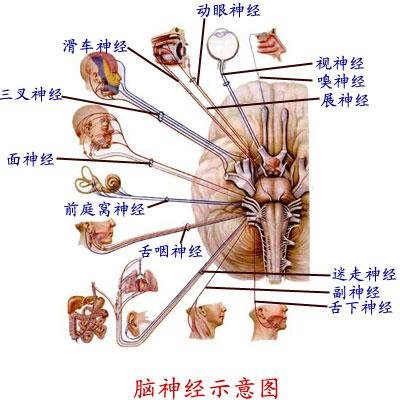 dBbgtm09KgAA&ek=1&kp=1&pt=0&bo=kAGQAQAAAAABACc!&t=5&tl=3&su=0190042881&tm=1650888000&sce=0-12-12&rf=2-9.jpg