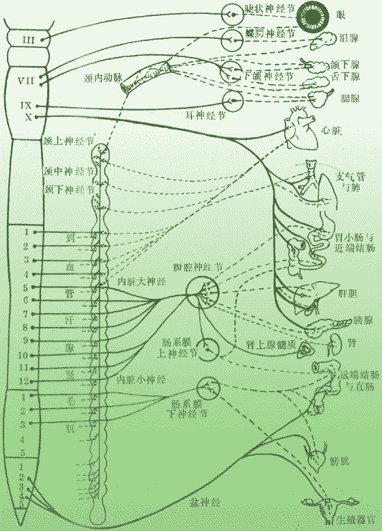 psb (2).jpg