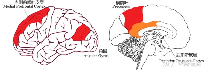 v2-1010298b47f596638d054df56e6161f6_720w.jpg