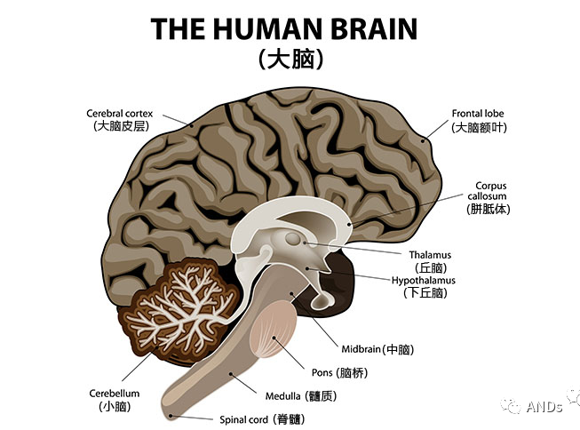 v2-16b51b3106d4c7ec6eceb5a45c0d1928_r.jpg