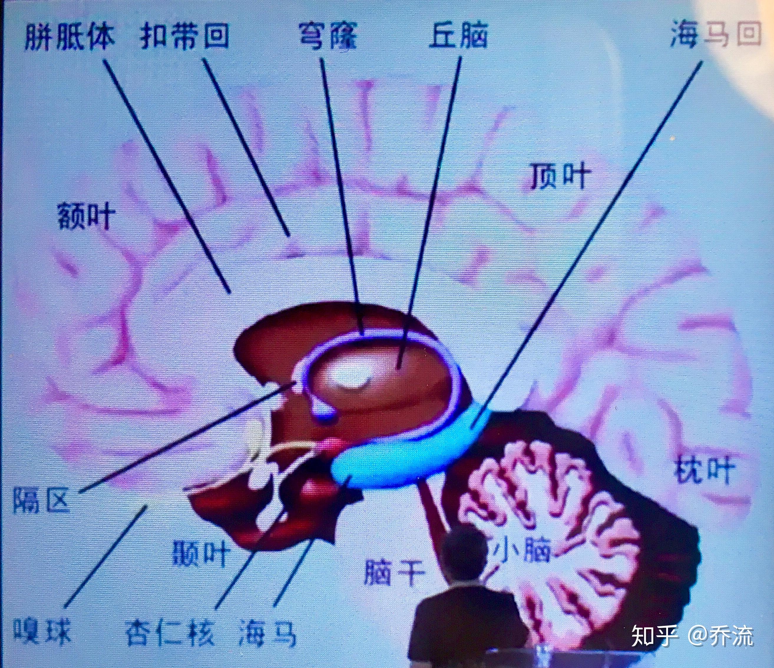 v2-9783a29450e4a9e97c6b41df5caa39c3_r.jpg